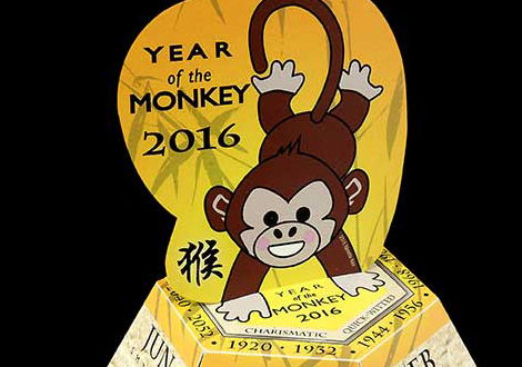 Year of the Monkey